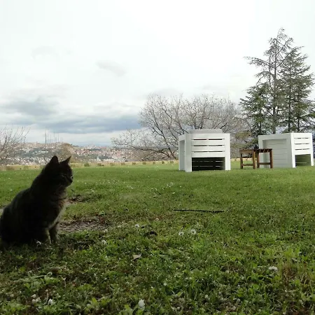 Altavista - Perugia