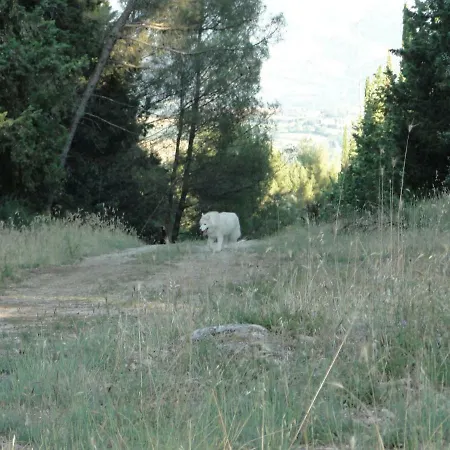 Villa Altavista - Perugia