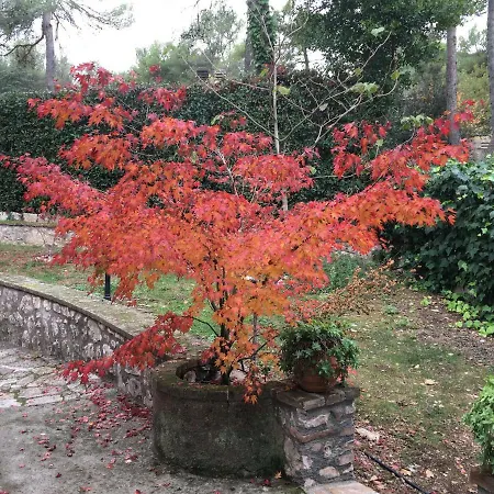 Altavista - Вилла