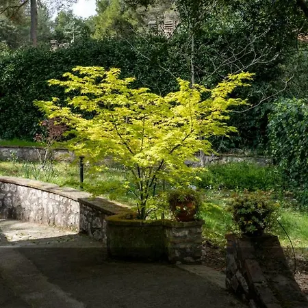 Villa Altavista - *