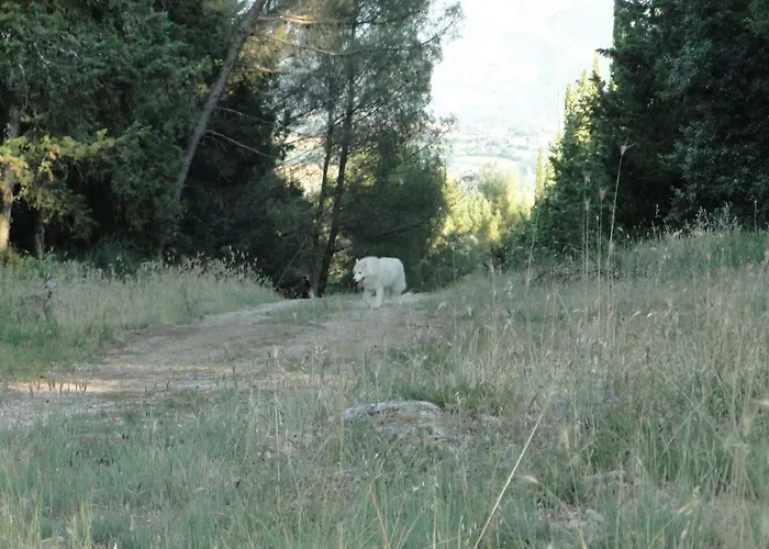 Villa Altavista - Perugia