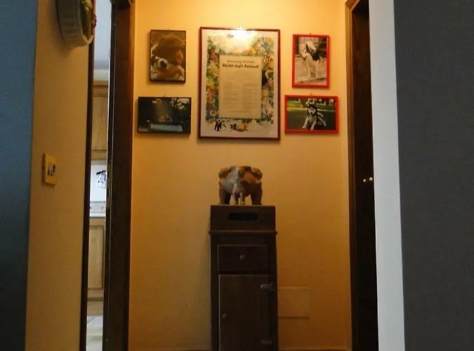 Altavista - * بيرودجا